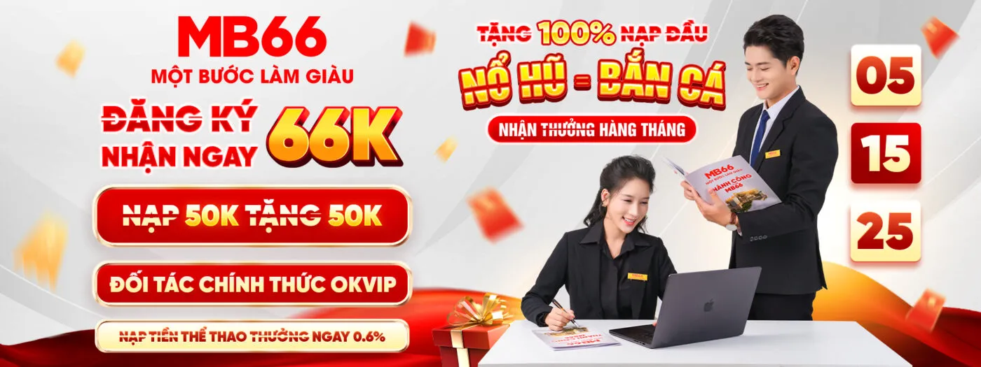 mb66 nét
