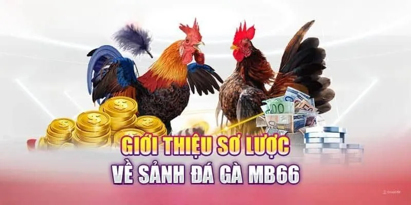 sảnh đá gà mb66