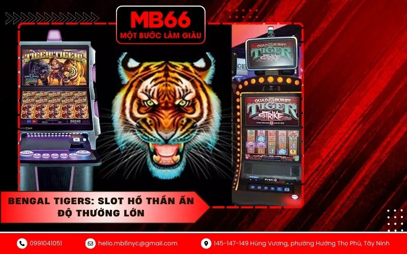 Bengal Tigers Slot Hổ thần Ấn Độ