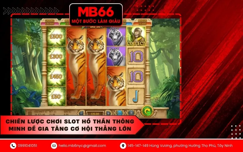 Chiến Lược Chơi Slot Hổ Thần Thông Minh Để Gia Tăng Cơ Hội Thắng Lớn
