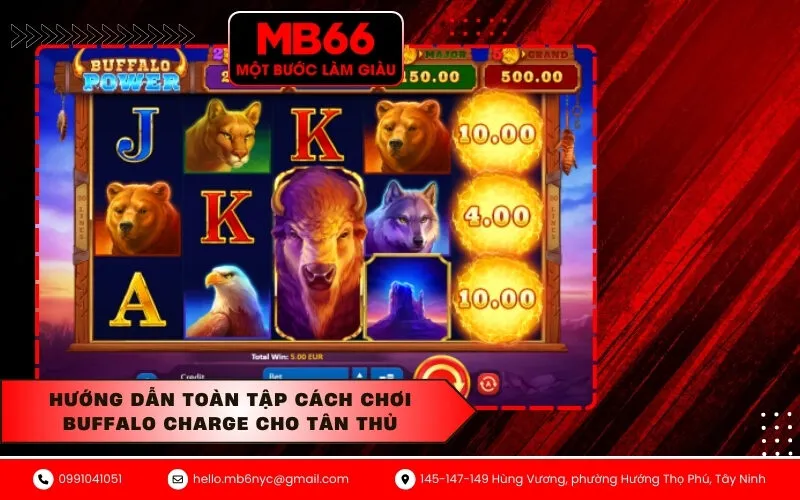 Hướng Dẫn Toàn Tập Cách Chơi Buffalo Charge Cho Tân Thủ
