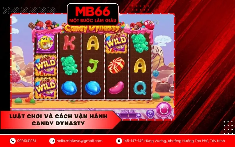 Luật chơi và cách vận hành Candy Dynasty