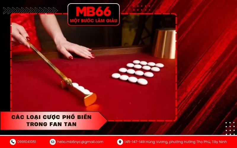 Các loại cược phổ biến trong Fan Tan