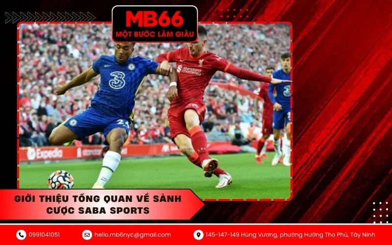 Giới thiệu tổng quan về sảnh cược Saba Sports