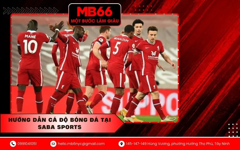 Hướng dẫn cá độ bóng đá tại Saba Sports